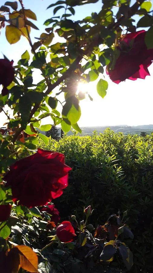 Sunset Hill - Tuscany - Villa & Private Pool Castelfiorentino Holiday home
