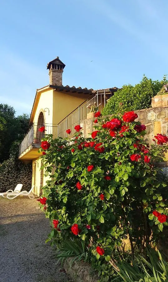 Sunset Hill - Tuscany - Villa & Private Pool Castelfiorentino 0*,
