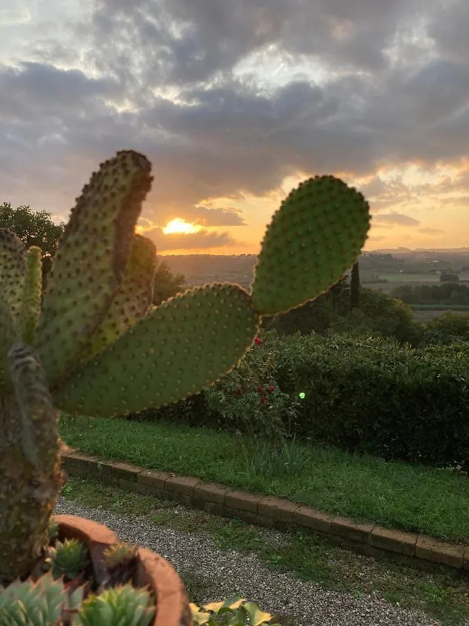 Holiday home Sunset Hill - Tuscany - Villa & Private Pool Castelfiorentino Italy