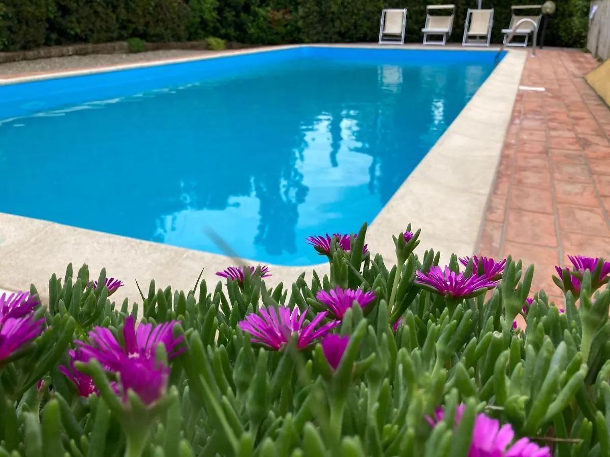 Holiday home Sunset Hill - Tuscany - Villa & Private Pool Castelfiorentino
