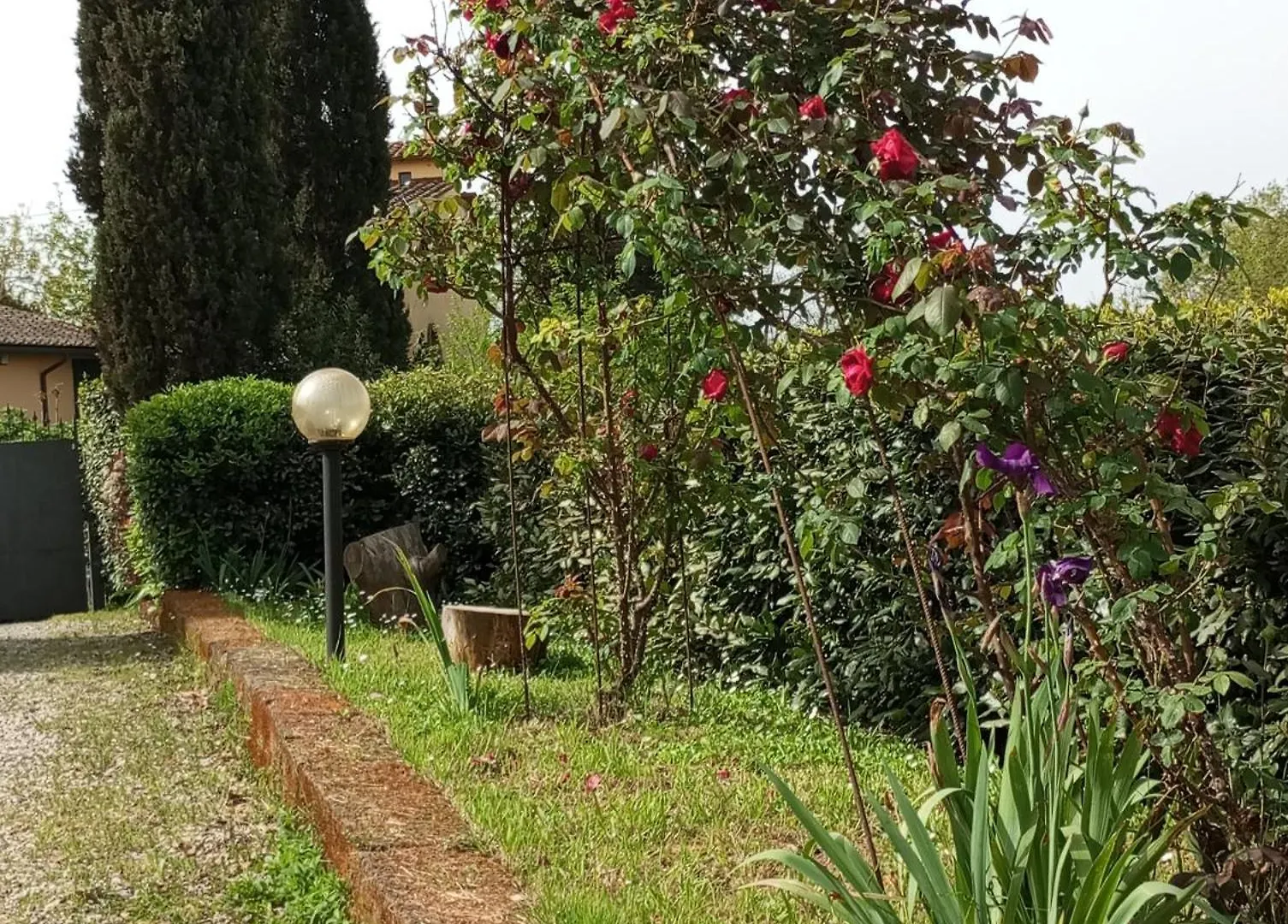 Sunset Hill - Tuscany - Villa & Private Pool كاستيلفيورينتينو 0*,  إيطاليا